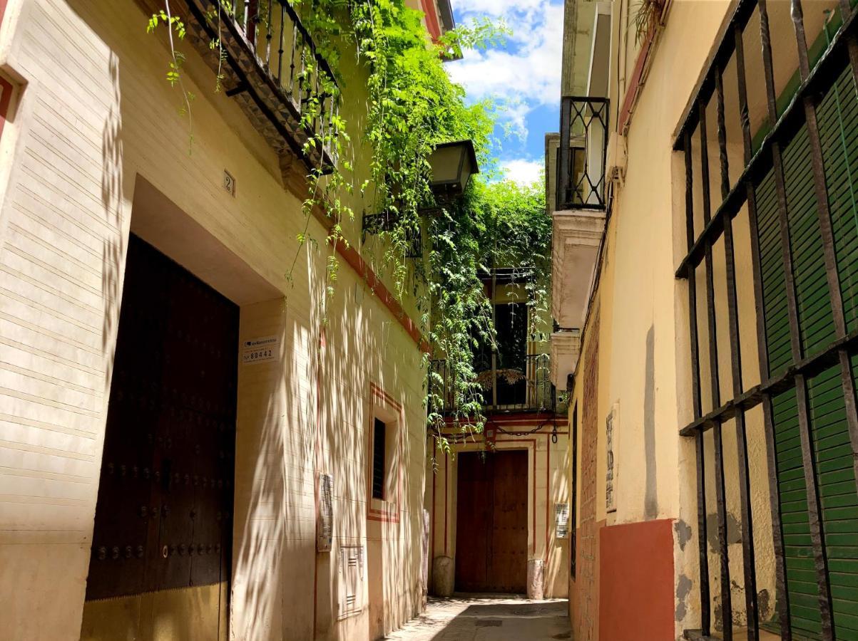 Acogedor Apt 8Pax 4Bdr 2Bth- Cozyhomesevilla2 Екстериор снимка